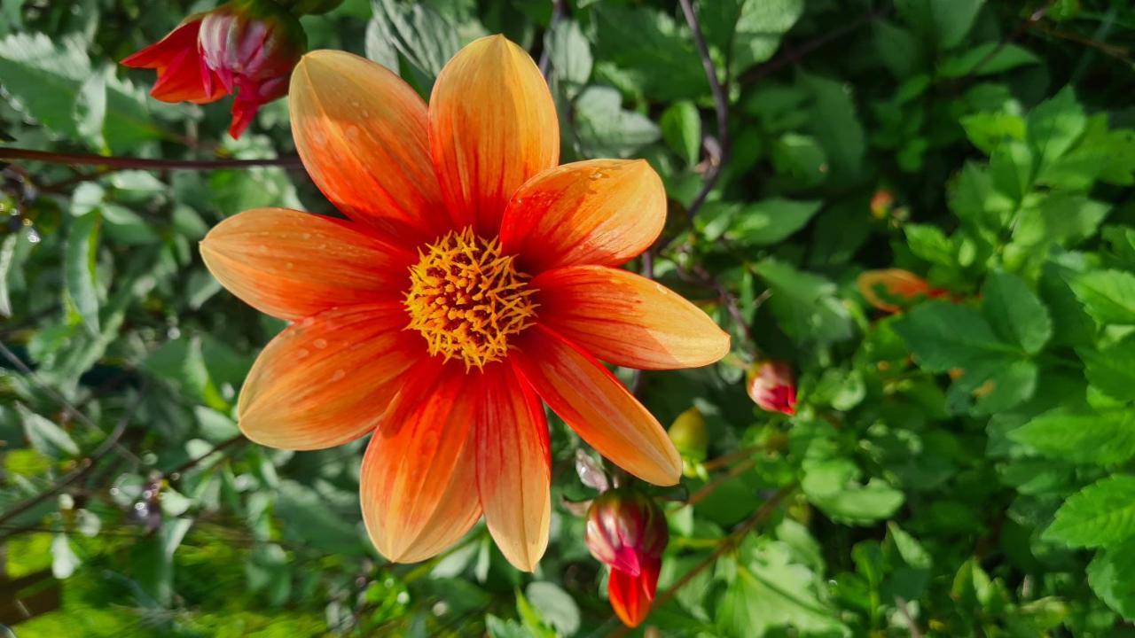 לינה וארוחת בוקר Blainville-sur-Mer Lesroses1680 מראה חיצוני תמונה